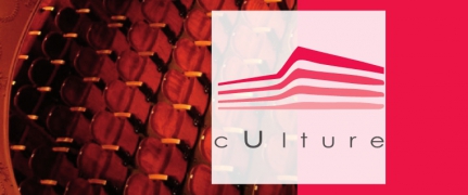 Culture Architecte Nantes Culture